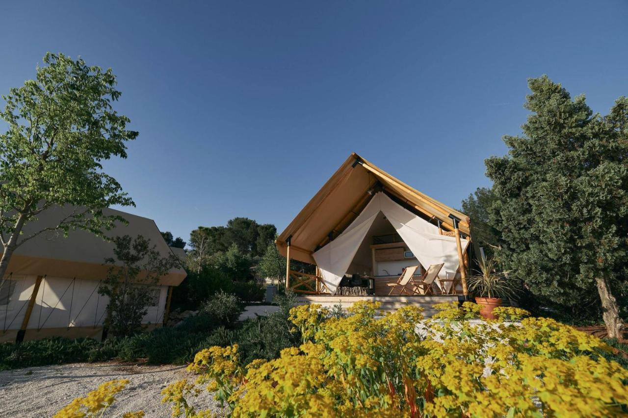 Europarcs Reestervallei IJhorst Quarto foto